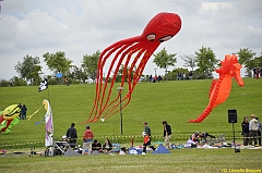 Venice kite festival_0543